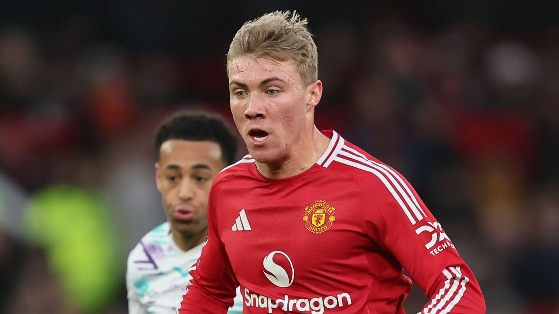 创意性的篮 创意性的篮