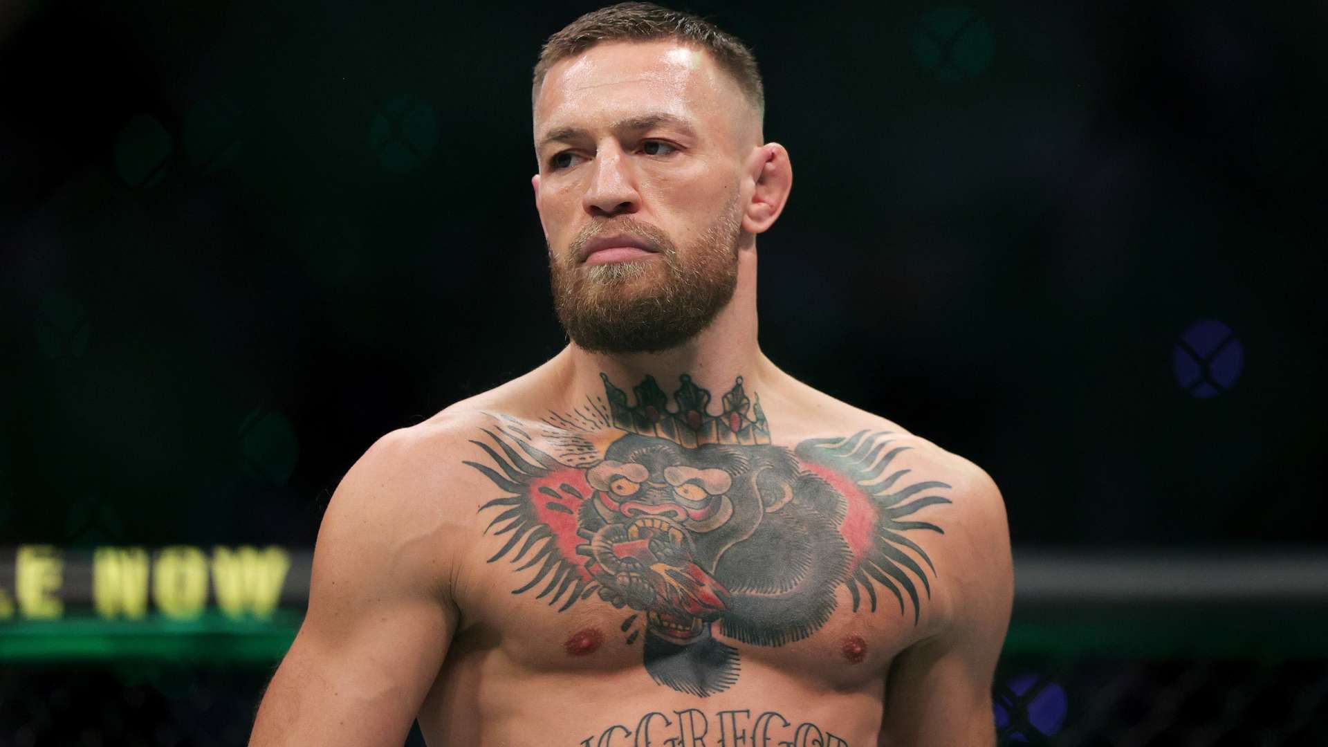 员在过去一 员在过去一