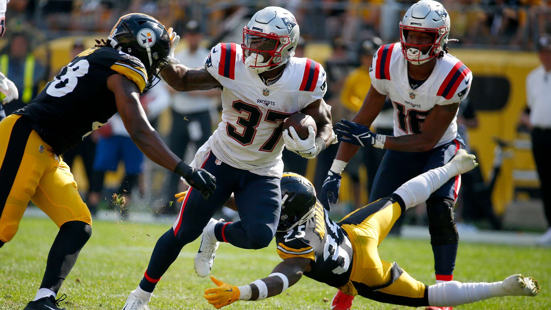 从新人到强 从新人到强